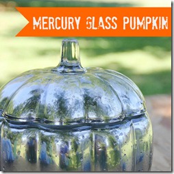 mercury_glass_pumpkin_project_how_to_directions (2) thumbnail 2