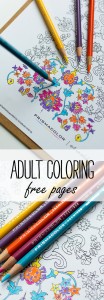 Adult Coloring Pages