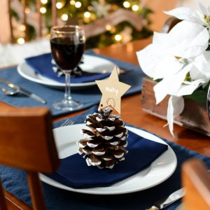 Easy Holiday Place Card Holder with Pine Cones