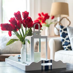 Red White Blue Americana Summer Decorating Ideas