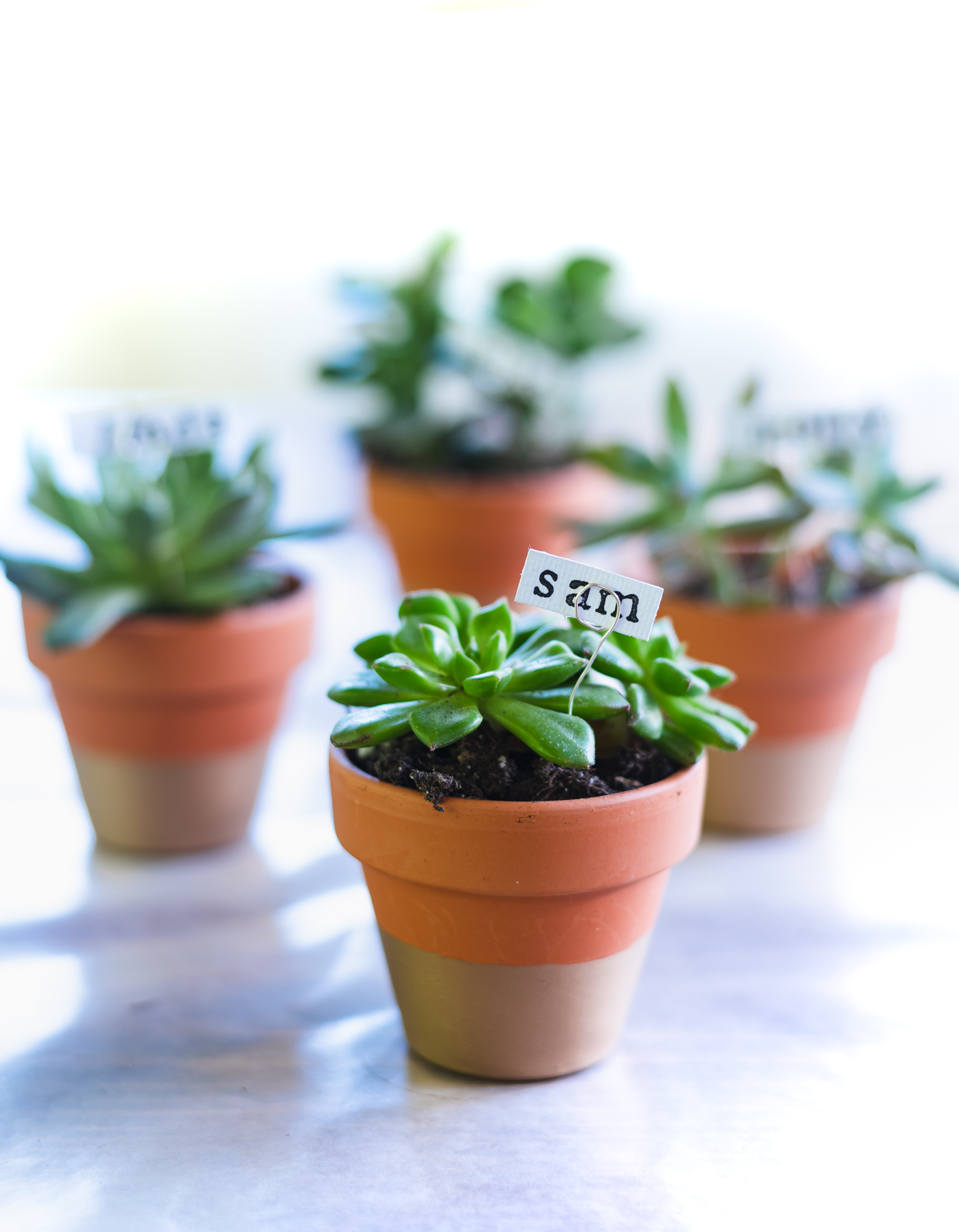 Succulent Place Card Holders - It All Started With Paint