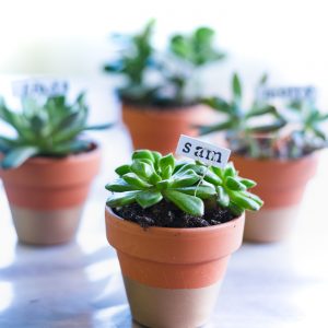 Succulent Place Card Holders - Gold Dipped Terracotta Pots