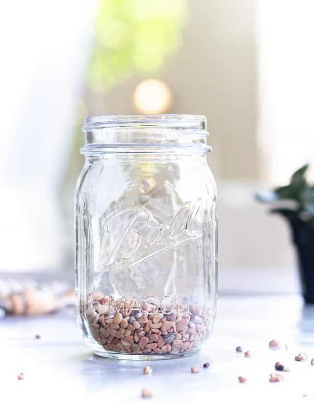 Succulent & Seashell Mason Jar Planter - It All Started With Paint